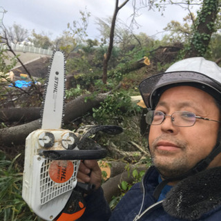 竹林、林伐採 抜根致します【所沢市 入間市川越市狭山市飯能市〜】