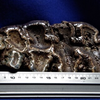 ナウマンゾウ　歯　化石　倉敷市