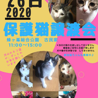 保護猫の譲渡会In山口県