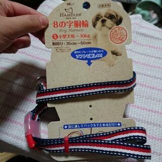 小型犬用の胴輪 未使用品