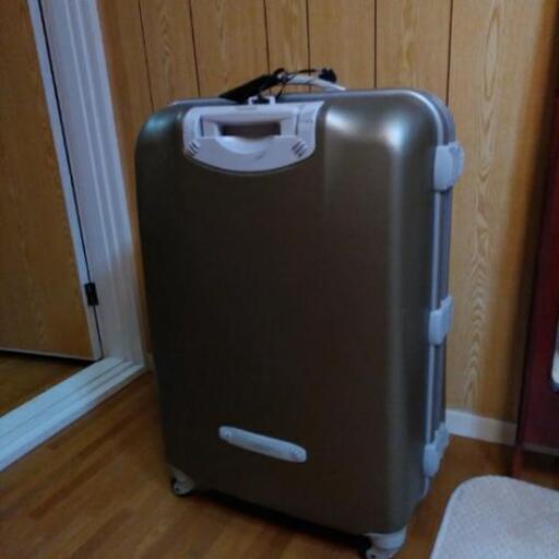 デルセー　大型キャリースーツケース(お値下げしました)