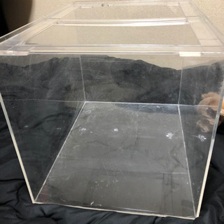 アクリル60センチ水槽