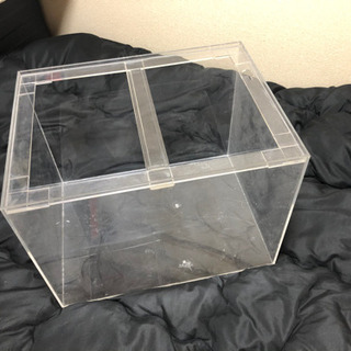 アクリル60センチ水槽