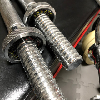 ラバーダンベル約100kg、フラットベンチ、wバー（値下げ交渉可能）