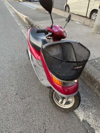 ホンダ ライブディオチェスタ 保険付き