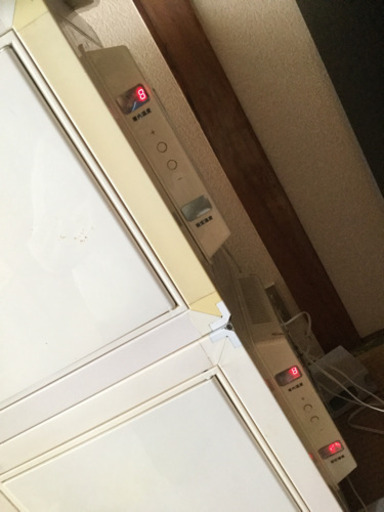 冷やし虫家 冷やし虫家