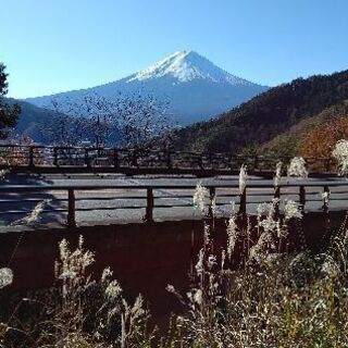 おとうさんは、頑張っていて好きな方募集中です😆🎵🎵