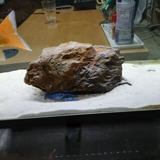 アクアリウム石横約25cm