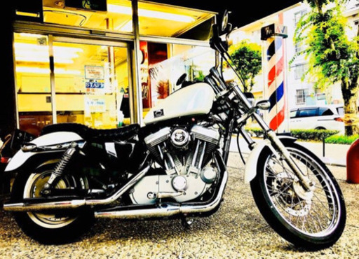 ハーレー　XL883C 車検付き