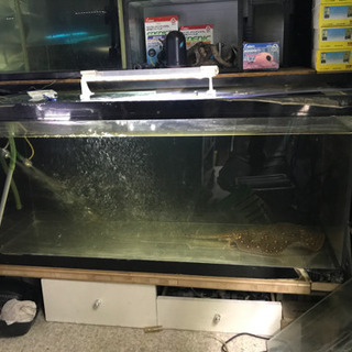 水槽、大型水槽、アクリル水槽、135x 60x50