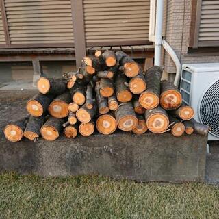 伐採木 薪木 ストーブ ご利用ください