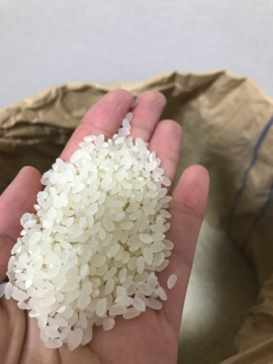 お米