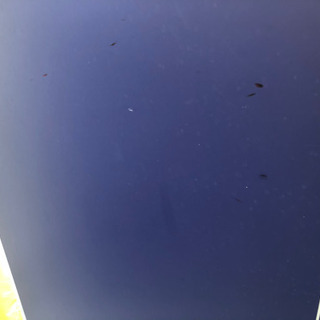 162　卓球台　CASSAR