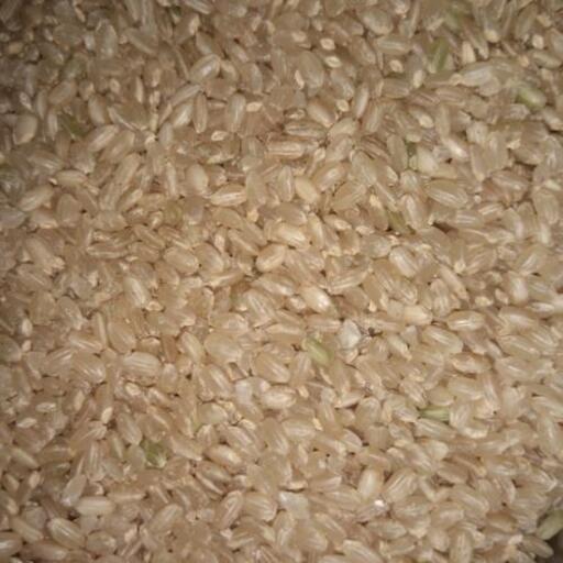 山口県阿東産 コシヒカリ玄米30kg 8000円