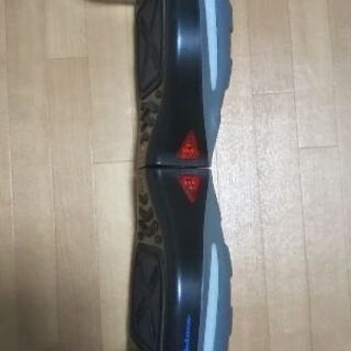 🛹ミニセグウェイ