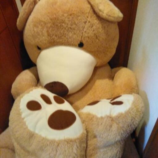 巨大なクマのぬいぐるみ 水色のフクロウ 北山田の家具の中古あげます 譲ります ジモティーで不用品の処分 巨大なクマのぬいぐるみ 水色のフクロウ 北山田の家具の中古あげます 譲ります ジモティーで不用品の処分