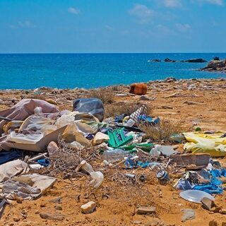 南紀の海岸でプラスチックごみ拾いの活動しませんか②