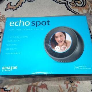 Amazon echospot