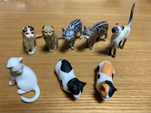 チョコエッグ 猫7匹 白猫1匹 よっさん 京王よみうりランドのフィギュアの中古あげます 譲ります ジモティーで不用品の処分 チョコエッグ 猫7匹 白猫1匹 よっさん 京王よみうりランドのフィギュアの中古あげます 譲ります ジモティーで不用品の処分