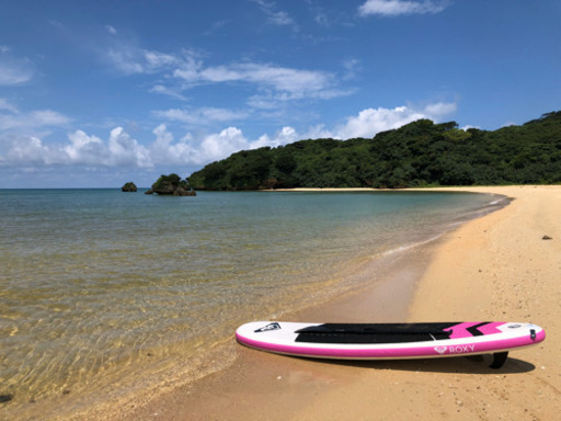 ROXYのSUPボード
