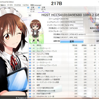 ハードディスク　(217B)