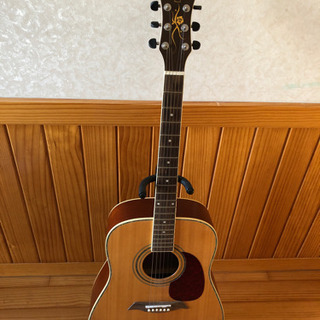 Elioth アコースティックギター　B305 NS
