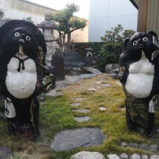 家庭円満 ペアだぬき
