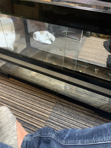 爬虫類ケージ