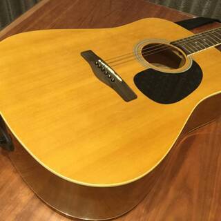 美品 アコースティックギター Greg Bennett GD50PK