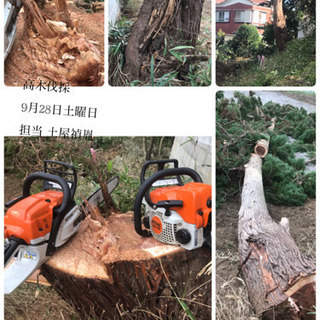 木の伐採 抜根なら、庭の手入れ店ツチヤガーデンホームへ 所沢市 − 埼玉県