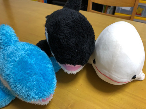 鴨川シーワールド ぬいぐるみ ゆーゆー さいたまのおもちゃの中古あげます 譲ります ジモティーで不用品の処分 鴨川シーワールド ぬいぐるみ ゆーゆー さいたまのおもちゃの中古あげます 譲ります ジモティーで不用品の処分