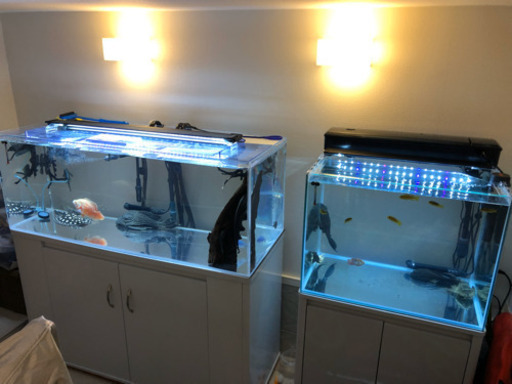 激安特価❗️最終値下げ❗️美品　コトブキ　60cmワイド水槽　60x45x45 LED上部フィルター　水槽台　4点セット