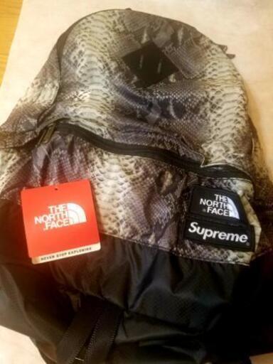 【未使用】Supreme×northfaceパイソン柄リュック