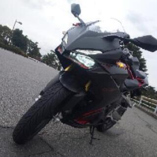 cbr250rr mc51 明日まで値下げ！