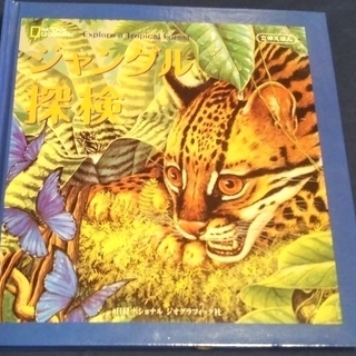 立体絵本 ６－１ ジャングル探検