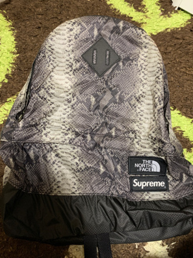 Supreme®/The North Face® Snakeskin Lightweight Day Pack