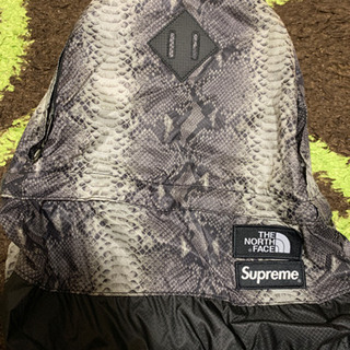 Supreme®/The North Face® Snakesk...