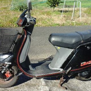 たかぴ君 お年玉企画 ホンダLEAD 80 SS お買い得品 希少 ‼