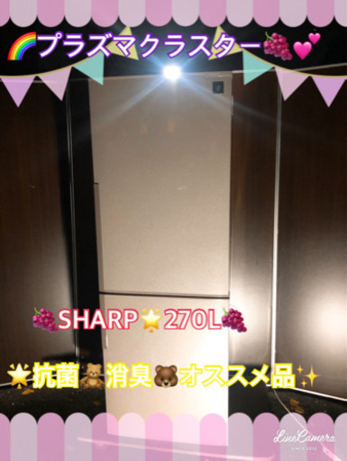 SHARPプラズマクラスター✨270L冷蔵庫‼️大目玉当日配送長期保証‼️