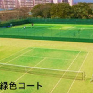 ソフトテニス 🎾久宝寺緑地。15日、29日。