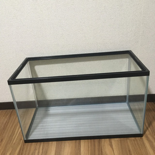 アクリル 水槽 60cm