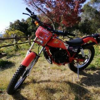 TLM50 実働 w2-worldbuffet.co.uk