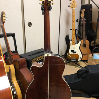 takamine ptu111-12 タカミネ 12弦ギター 【公式通販】