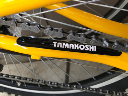 レゴリス　　29型