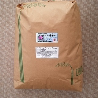 こだわりのお米【玄米30kg】-28