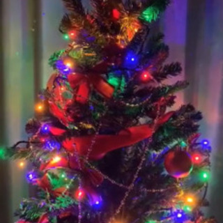 クリスマスツリー、アメリカ引っ越し、東工大ドクターの断捨離
