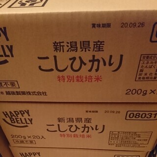 パックご飯 200g×20個×2箱=40個 新潟県産こしひかり(白米)