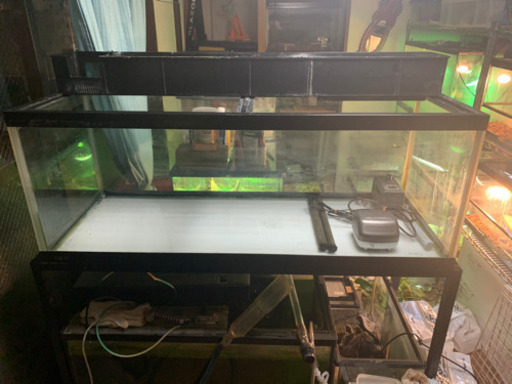 1200上部フィルター水槽+水槽台+用品　熱帯魚　古代魚　金魚