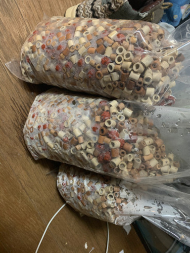 1200上部フィルター水槽+水槽台+用品 熱帯魚 古代魚 金魚