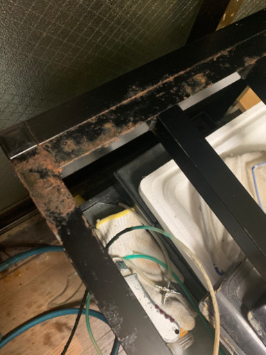 1200上部フィルター水槽+水槽台+用品 熱帯魚 古代魚 金魚